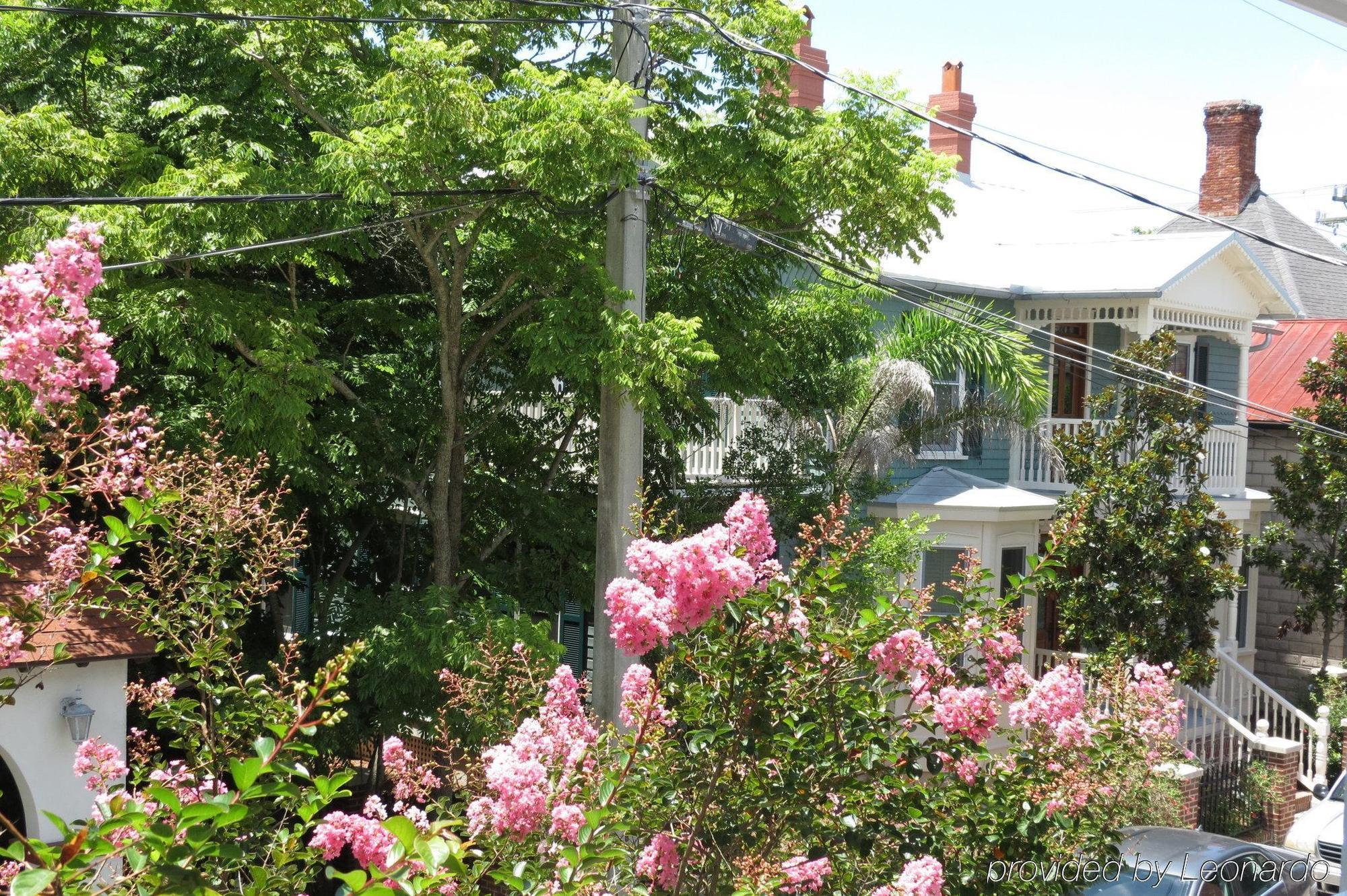 Bayfront Westcott House Bed & Breakfast St. Augustine Extérieur photo