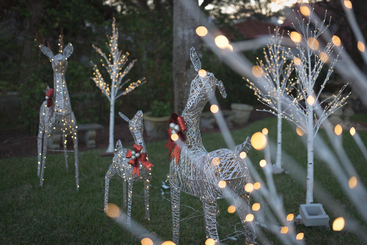 Bayfront Westcott House Bed & Breakfast St. Augustine Extérieur photo